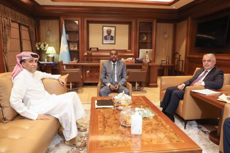 قطر، وتركيا .. تعهّدات بمواصلة المشاريع التنموية في الصومال