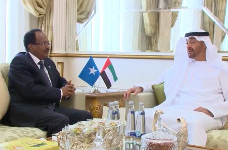 بعد رحيل فرماجو: هل ستعود العلاقات الصومالية الإماراتية إلى طبيعتها؟