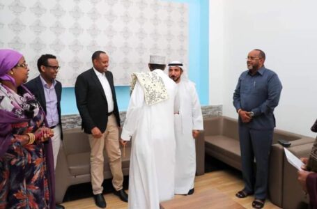 تطبيع العلاقات الصومالية الإماراتية: مواقف واتجاهات