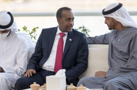 الصومال ودول الخليج: ما حقيقة اللقاءات بين مسؤولي الطرفين؟