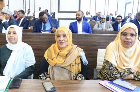 استكمال العملية الانتخابية الصومالية .. ما دور البرلمان الفيدرالي الجديد في تجاوز العقبات الحالية؟