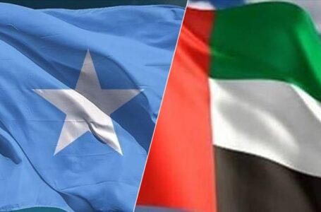 العلاقات الصومالية الإماراتية: من التوجس والجفاء .. إلى الهدوء والتّطبيع