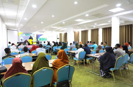 التغطية المهنية لهجرة الأيدي العاملة الصومالية .. برنامج توعوي للصحفيين الصوماليين