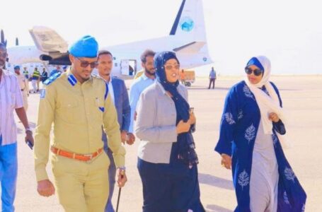 منع طائرة النائبة سعدية من الهبوط على مطار بوصاصو .. معلومات وتفاصيل