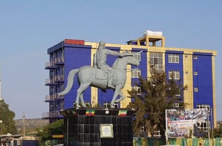 تأجيل المؤتمر التشاوري في جيغجيغا .. الأسباب والتّداعيات