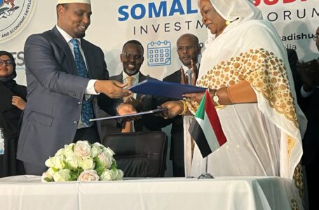 الصومال والسودان .. توقيع اتفاقية في مجال الاستثمارات