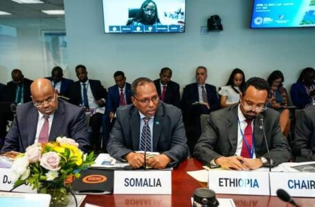 وزير المالية الصومالي يشارك في واشنطن اجتماعا لوزراء مالية دول القرن الأفريقي