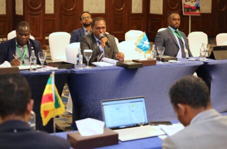 التنمية الاقتصادية والإصلاح المالي في الصومال .. الجهود المبذولة والنتائج المتوقعة