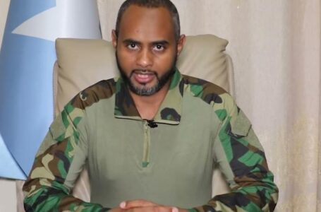 وزير الدّفاع الصومالي: “أصبحت أنقرة شريكا لا غنى عنه، بالنسبة للصومال”
