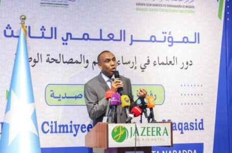 رئيس وزراء الصومال يفتتح مؤتمرا علميا في مقديشو