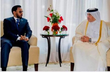 وزير المالية الصومالي يلتقي مع نظيره القطري في مراكش