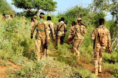 ولاية جوبالاند .. عمليات عسكرية ضدّ “الشباب”