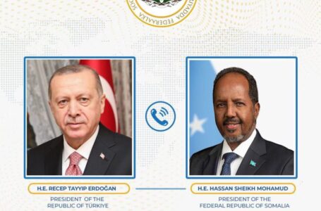 الصومال وتركيا .. اتّصال هاتفي بين رئيسي البلدين