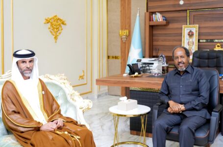 الرئيس الصومالي يستقبل السفير الإماراتي لدى البلاد