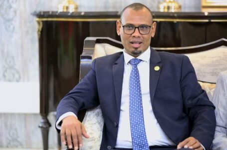 وزير الثروة الحيوانية الصومالي يكشف عن علاقة بين زيادة الإنتاج ومكافحة الشباب