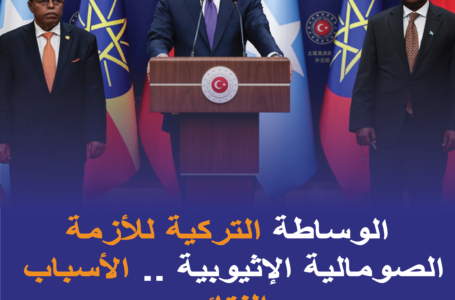 الوساطة التركية للأزمة الصومالية الإثيوبية .. الأسباب والنتائج