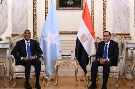 العلاقات المصرية الصومالية .. رئيس وزراء الصومال يلتقي بنظيره المصري