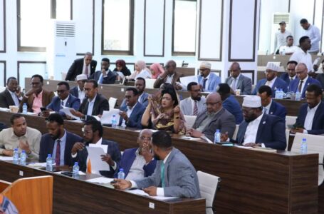 الصومال .. مجلس الشعب يصادق على قانون العمل