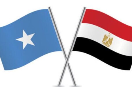 التعاون الدفاعي المصري الصومال .. استمرار وصول الدعم العسكري إلى الصومال