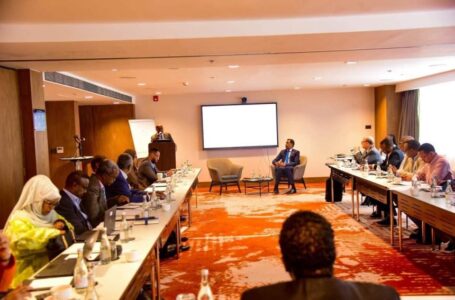 الهيئة الوطنية الصومالية للاتصالات ومؤسسة التمويل الدولية .. مباحثات حول المنافسة في سوق الاتصالات