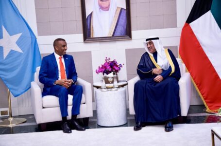 رئيس وزراء الصومال يجري لقاءات في نيويورك مع قادة العالم
