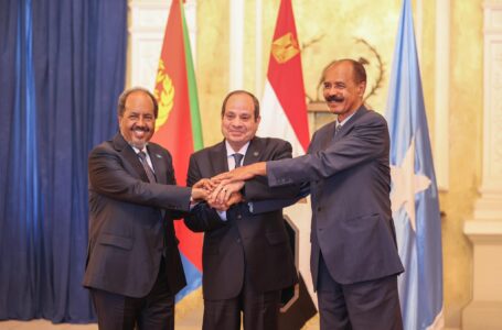التحالف الجديد في القرن الإفريقي .. أهدافه ودلالاته التوقيتية