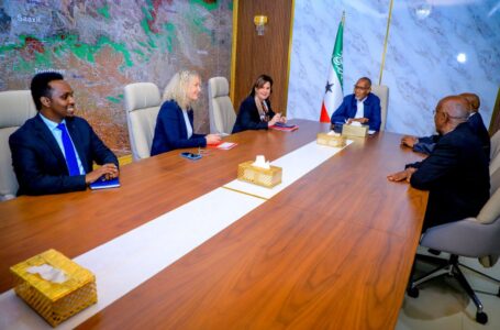 انتخابات “صوماليلاند” .. رئيس الإدارة الانفصالية يستقبل مندوبة الاتحاد الأوروبي لدى الصومال