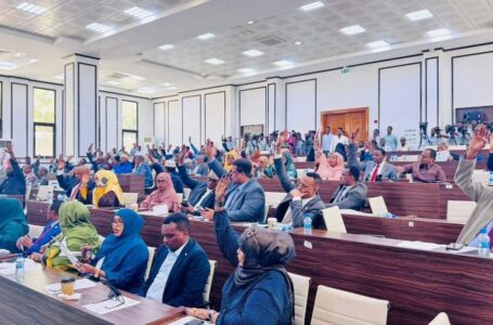 مجلس الشيوخ الصومالي يصادق على قانون حماية حقوق المعاقين