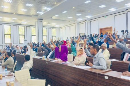 مجلس الشعب الصومالي يصادق على مشروع قانون التعليم العالي