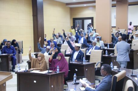 مجلس الشيوخ الصومالي يصادق على مشروع قانون التعليم العالي في البلاد