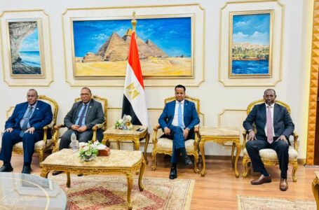 وفد صومالي يصل إلى جمهورية مصر العربية