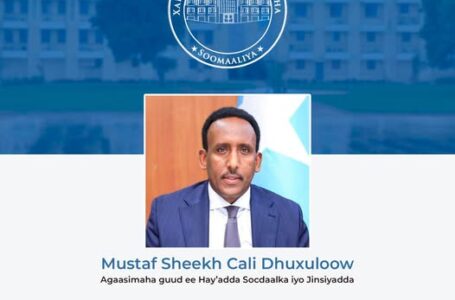 الصومال .. تعيين مدير جديد لدائرة الهجرة والجنسية