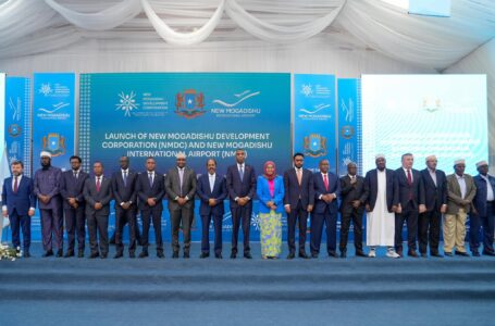 مشروع “مقديشو” الجديدة .. مبادرة وطنية تنموية واستثمارية