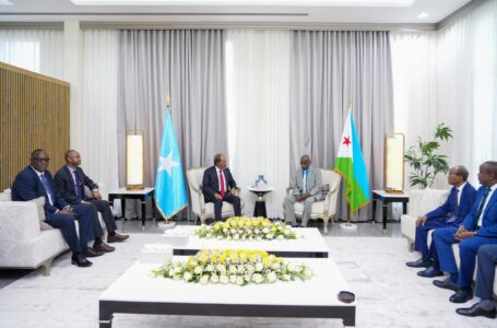 الرّئيس الصومالي يصل إلى جيبوتي