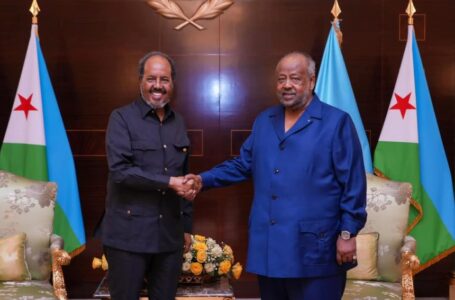 جيبوتي .. لقاء بين الرئيسين الصومالي والجيبوتي