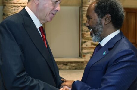 زيارة الرئيس الصومالي لتركيا .. الأسباب والأهداف