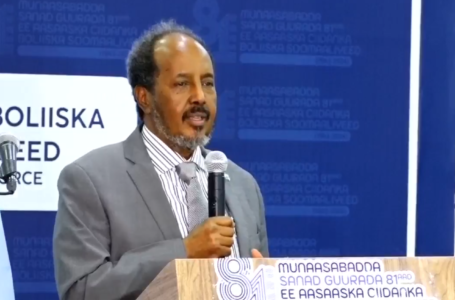 الرئيس الصومالي: “تحقيق الأمن طريق لإجراء الانتخابات المباشرة”