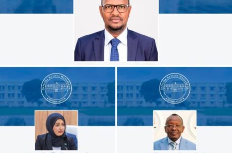 الصومال .. تعديلات وتعيينات جديدة في المجلس الوزاري
