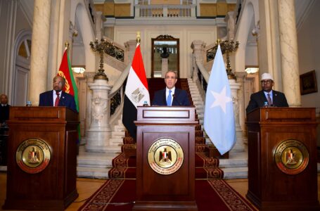 التحالف الثلاثي بين مصر والصومال وإرتيريا .. بيان مشترك لاجتماع اللجنة الوزارية المشتركة