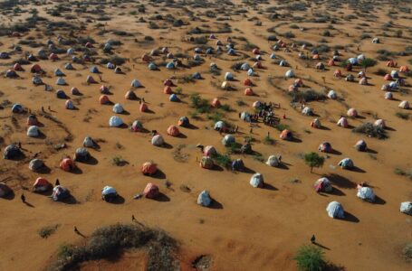 ولاية جنوب غرب الصومال .. تراجع الإنتاج الزراعي