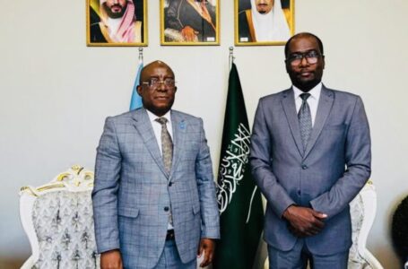 مقديشو .. لقاء بين وزير الإعلام والسفير السعودي لدى البلاد