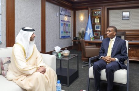 رئيس الوزراء الصومالي يبحث مع السفير الإماراتي تعزيز العلاقات بين الدّولتين