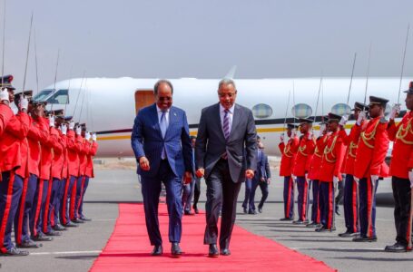 الرئيس الصومالي يصل إلى جمهورية جيبوتي الشقيقة