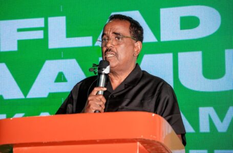 بعد الاتّفاق على تشكيل ولاية شمال شرق الصومال .. الحكومة الفيدرالية تدعو إلى الإسراع في تعيين نواب الولاية