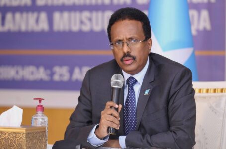The Bureaucrat From Buffalo Who Pushed Somalia to the Brink.