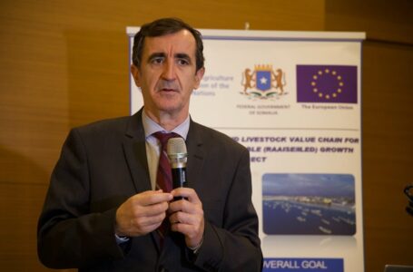 None should block or spoil agreement, EU Envoy tells Somalia political leaders.