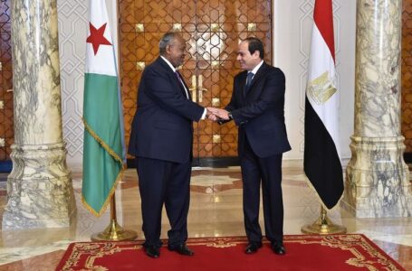 Egyptian president heads to Djibouti.