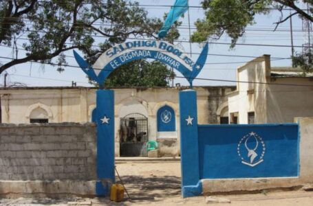 Police in Jowhar conducts operation, arrest tens.