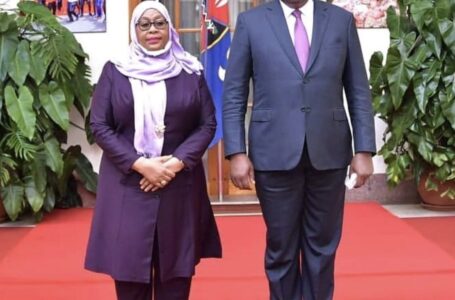 How different is Tanzania’s current president Samia Suluhu Hassan from her predecessor ,the late John Pombe Magafuli?