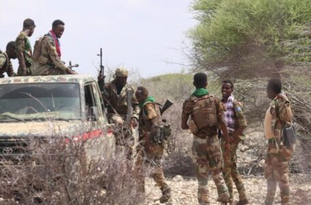 Somali Federal Forces launch operations near Buurhakaba amid South West State tensions